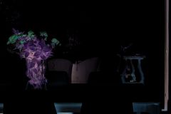 IMG-20250304-WA0073