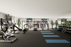 WLll-Gym-01