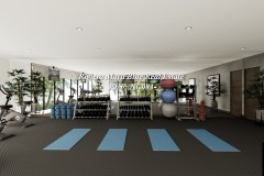 WLll-Gym-02