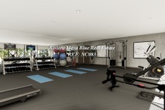 WLll-Gym-05
